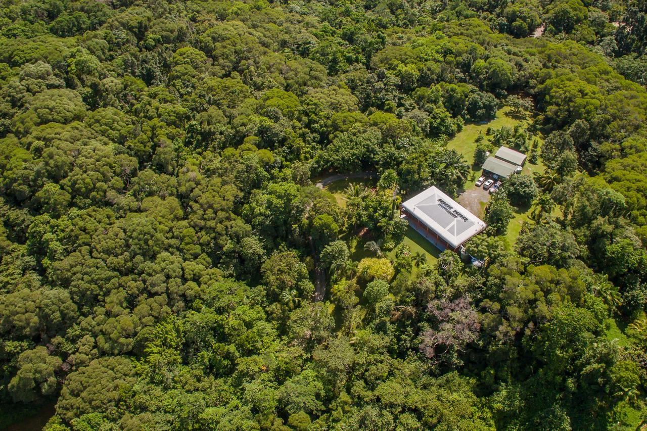 Daintree Manor B&B Eksteriør billede