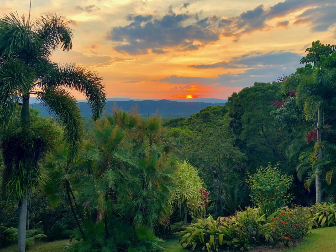 Daintree Manor B&B Eksteriør billede