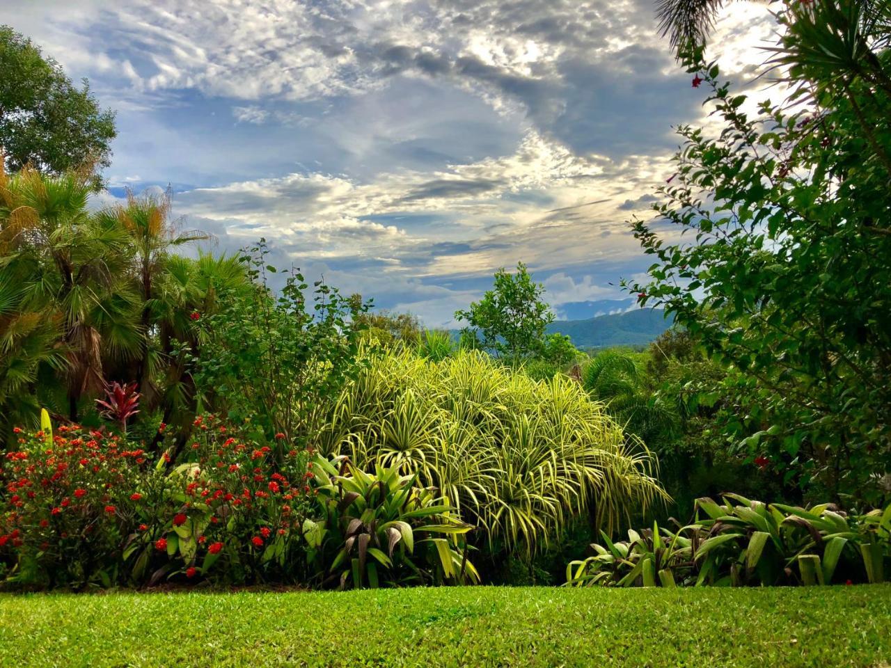 Daintree Manor B&B Eksteriør billede