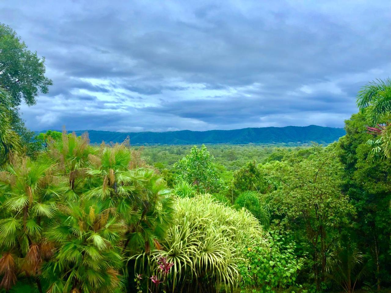 Daintree Manor B&B Eksteriør billede